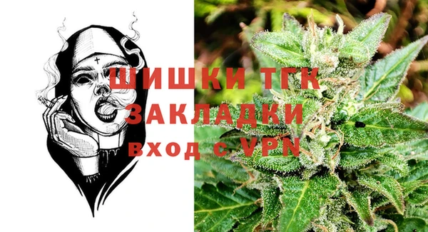 дурь Гусев