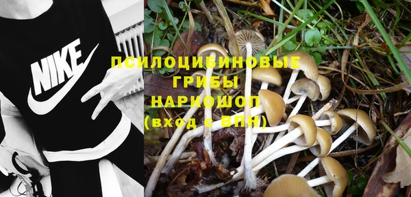 метадон Гусиноозёрск