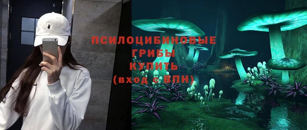 ПСИЛОЦИБИНОВЫЕ ГРИБЫ Снежинск